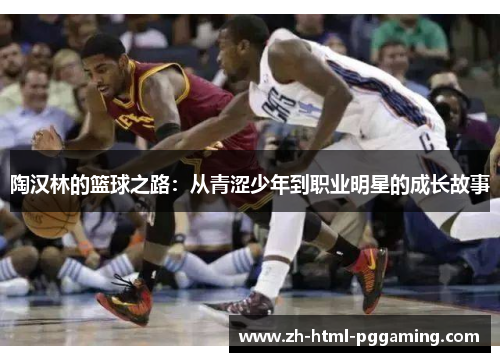 陶汉林的篮球之路：从青涩少年到职业明星的成长故事